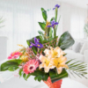 Cesta Flor Somalia