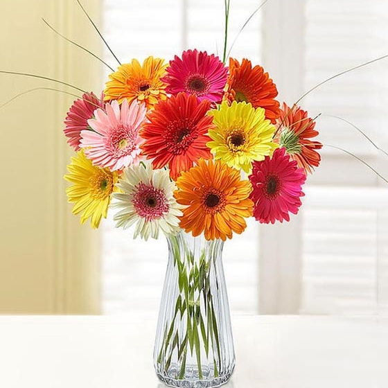 Ramo Gerberas Rusia